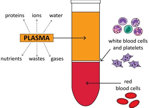 separating blood from plasma